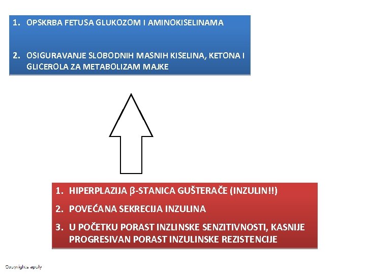 1. OPSKRBA FETUSA GLUKOZOM I AMINOKISELINAMA 2. OSIGURAVANJE SLOBODNIH MASNIH KISELINA, KETONA I GLICEROLA