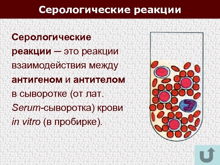 Серологические реакции рисунки