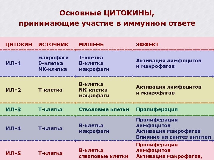 Основные ЦИТОКИНЫ, принимающие участие в иммунном ответе ЦИТОКИН ИСТОЧНИК МИШЕНЬ ЭФФЕКТ ИЛ-1 макрофаги В-клетка