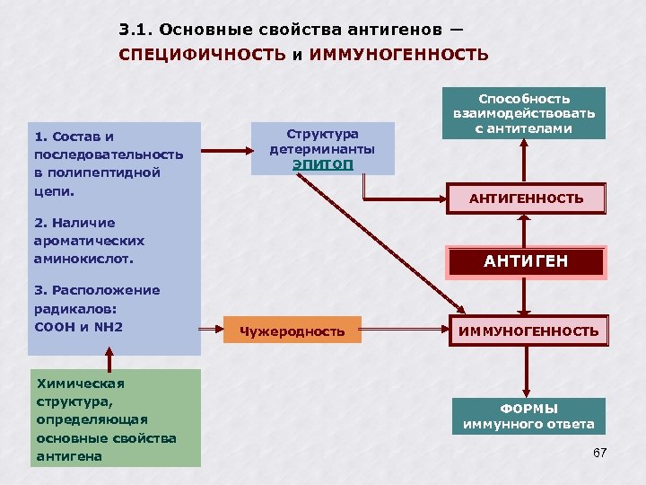 3. 1. Основные свойства антигенов ― СПЕЦИФИЧНОСТЬ и ИММУНОГЕННОСТЬ 1. Состав и последовательность в