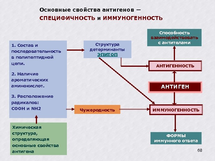 Основные свойства антигенов ― СПЕЦИФИЧНОСТЬ и ИММУНОГЕННОСТЬ 1. Состав и последовательность в полипептидной цепи.