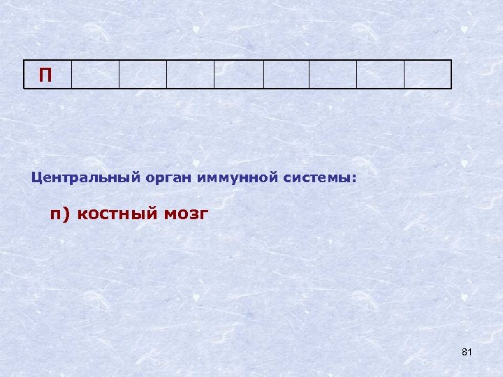 П Центральный орган иммунной системы: п) костный мозг 81 