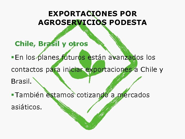 EXPORTACIONES POR AGROSERVICIOS PODESTA Chile, Brasil y otros § En los planes futuros están