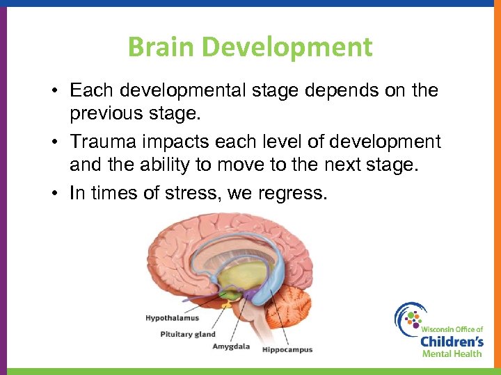 Brain Development • Each developmental stage depends on the previous stage. • Trauma impacts