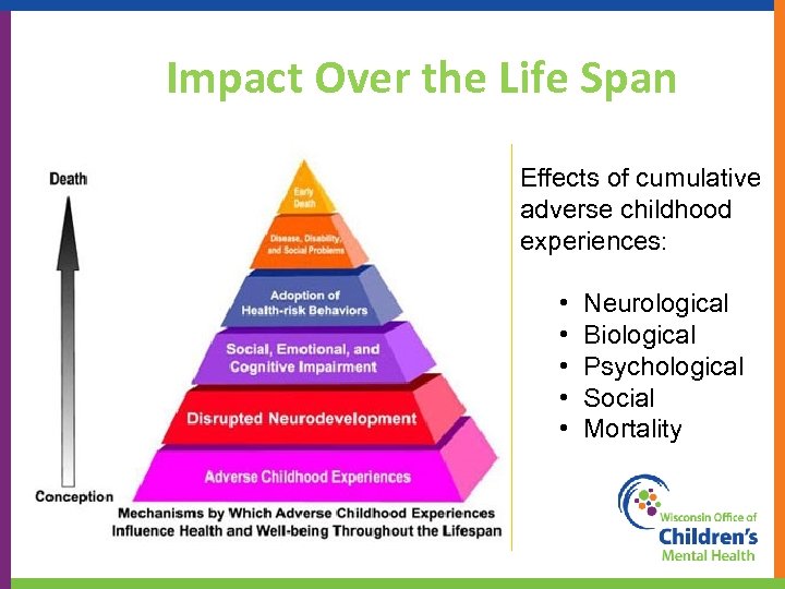 Impact Over the Life Span Effects of cumulative adverse childhood experiences: • • •
