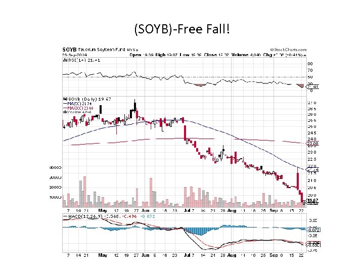 (SOYB)-Free Fall! 