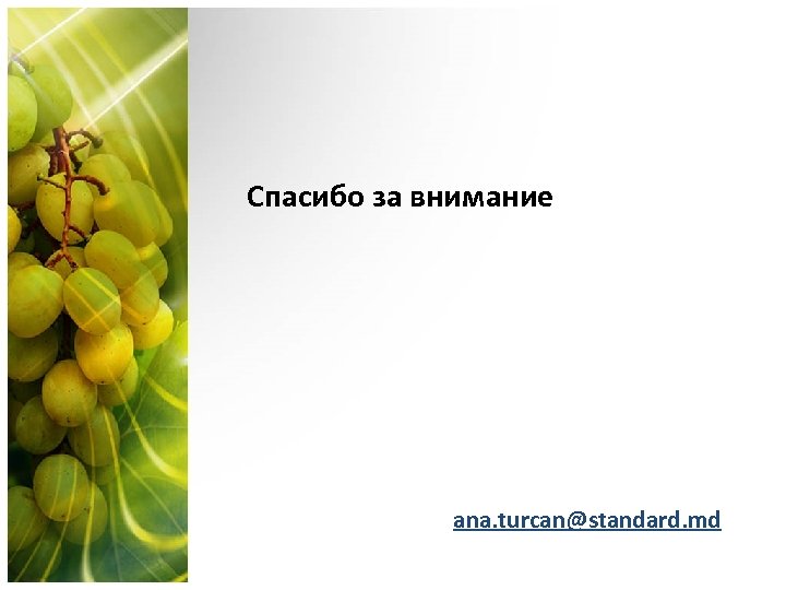 Спасибо за внимание ana. turcan@standard. md 