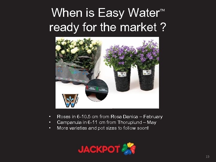 When is Easy Water ready for the market ? • • • Roses in