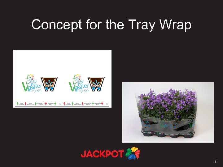 Concept for the Tray Wrap 8 