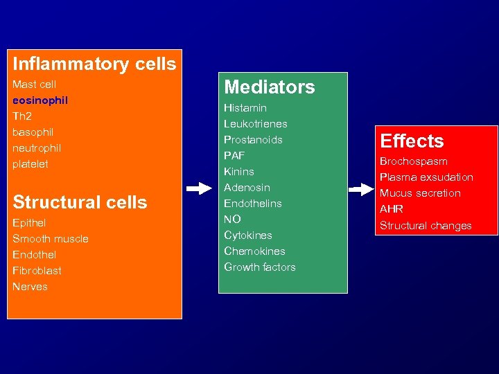 Inflammatory cells Mast cell eosinophil Th 2 basophil neutrophil platelet Structural cells Epithel Smooth