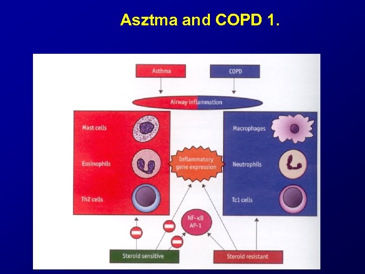 Asztma and COPD 1. 