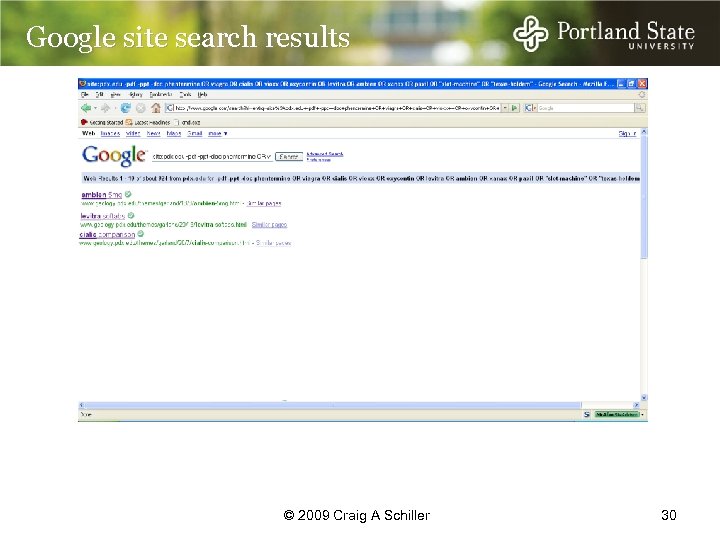 Google site search results © 2009 Craig A Schiller 30 