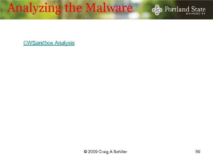 Analyzing the Malware CWSandbox Analysis © 2009 Craig A Schiller 59 
