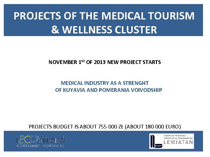 PROJECTS OF THE MEDICAL TOURISM & WELLNESS CLUSTER NOVEMBER 1 ST OF 2013 NEW