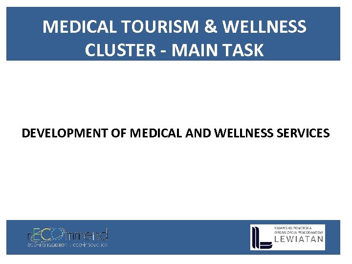 MEDICAL TOURISM & WELLNESS CLUSTER - MAIN TASK DEVELOPMENT OF MEDICAL AND WELLNESS SERVICES
