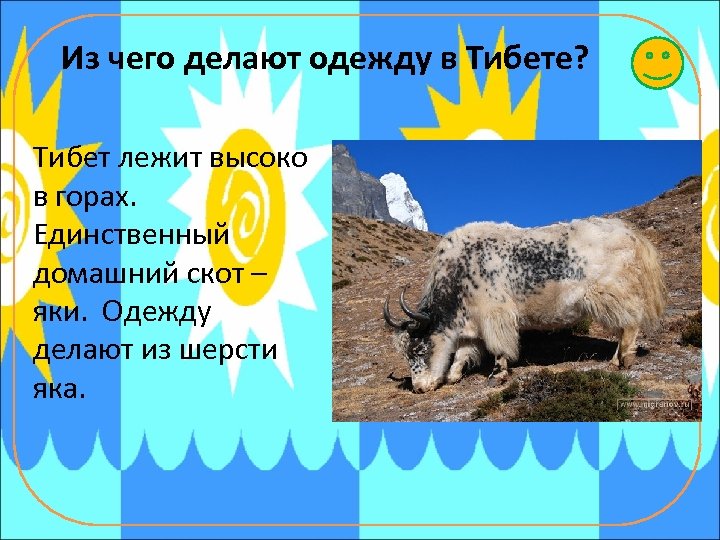 Из чего делают одежду в Тибете? Тибет лежит высоко в горах. Единственный домашний скот