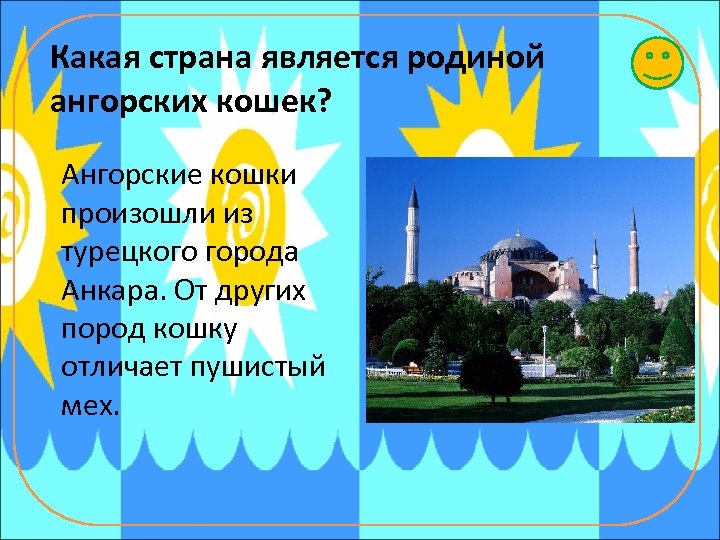 Какая страна является родиной ангорских кошек? Ангорские кошки произошли из турецкого города Анкара. От