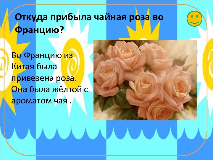 Откуда прибыла чайная роза во Францию? Во Францию из Китая была привезена роза. Она