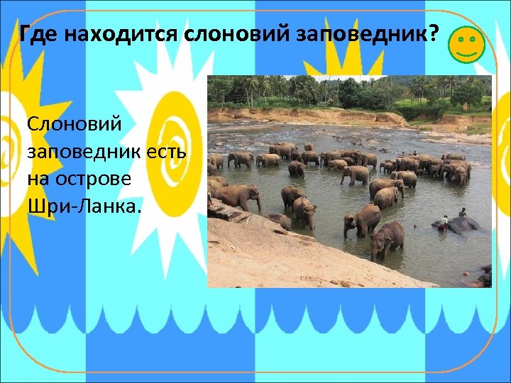 Где находится слоновий заповедник? Слоновий заповедник есть на острове Шри-Ланка. 
