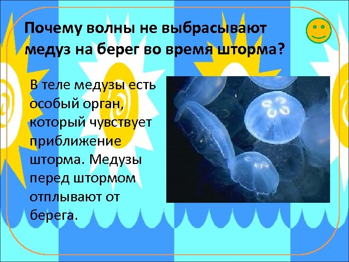 Почему волны не выбрасывают медуз на берег во время шторма? В теле медузы есть