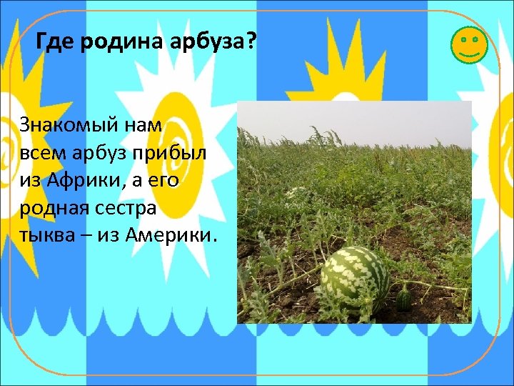 Где родина арбуза? Знакомый нам всем арбуз прибыл из Африки, а его родная сестра