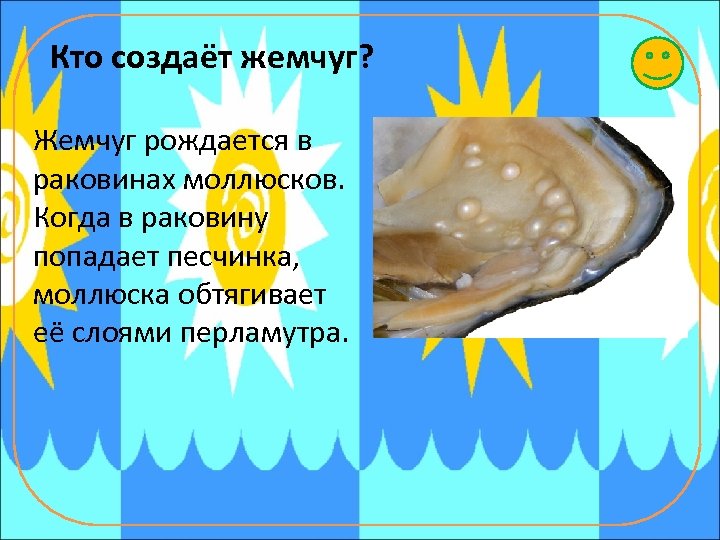 Кто создаёт жемчуг? Жемчуг рождается в раковинах моллюсков. Когда в раковину попадает песчинка, моллюска