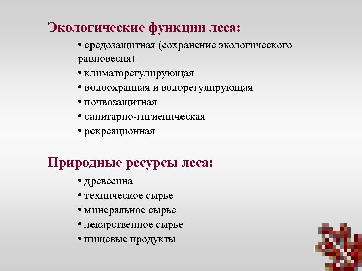 Экологические функции леса: • средозащитная (сохранение экологического равновесия) • климаторегулирующая • водоохранная и водорегулирующая