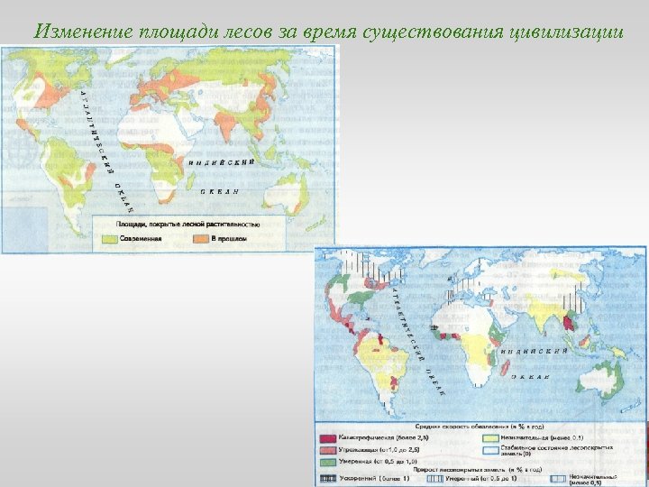 Изменение площади лесов за время существования цивилизации 