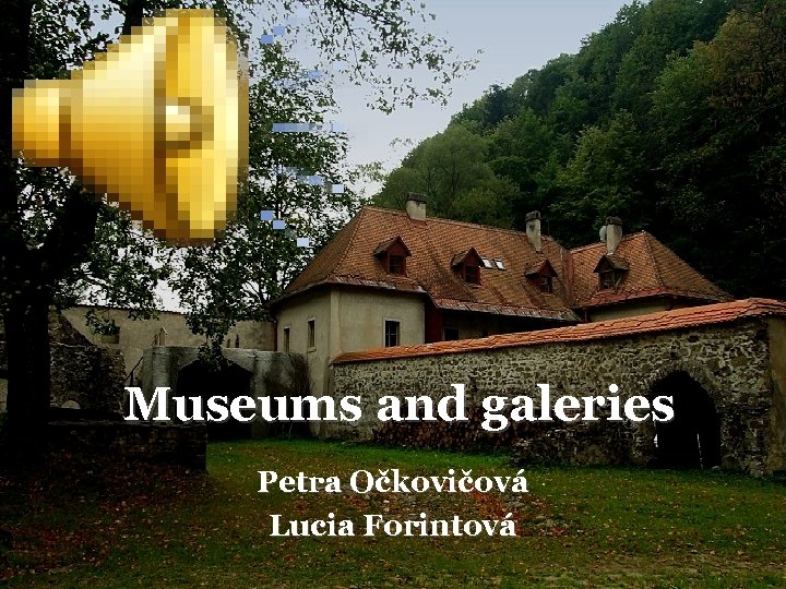 Museums and galeries Petra Očkovičová Lucia Forintová 