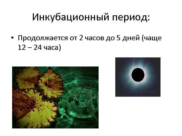 Инкубационный период: • Продолжается от 2 часов до 5 дней (чаще 12 – 24