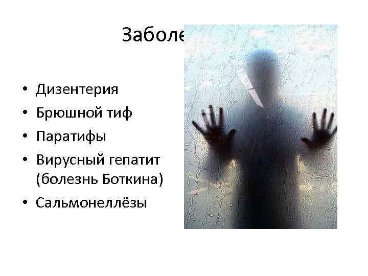 Заболевания Дизентерия Брюшной тиф Паратифы Вирусный гепатит (болезнь Боткина) • Сальмонеллёзы • • 