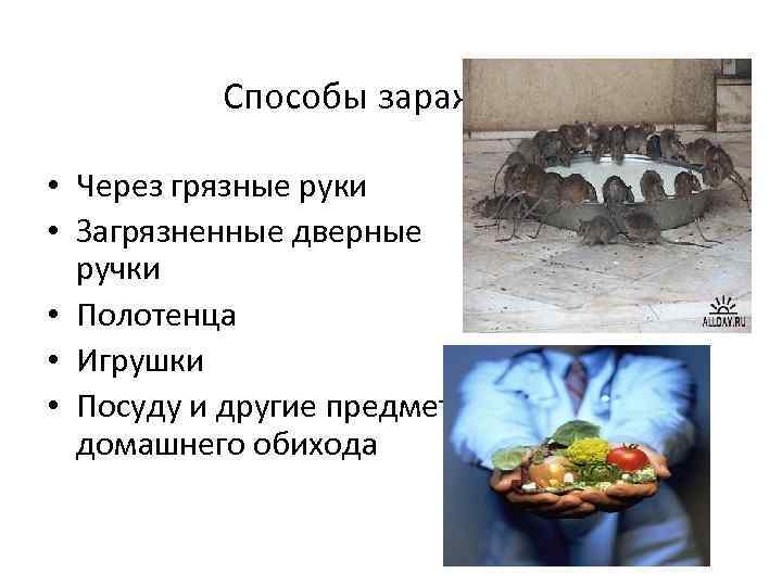 Способы заражения • Через грязные руки • Загрязненные дверные ручки • Полотенца • Игрушки