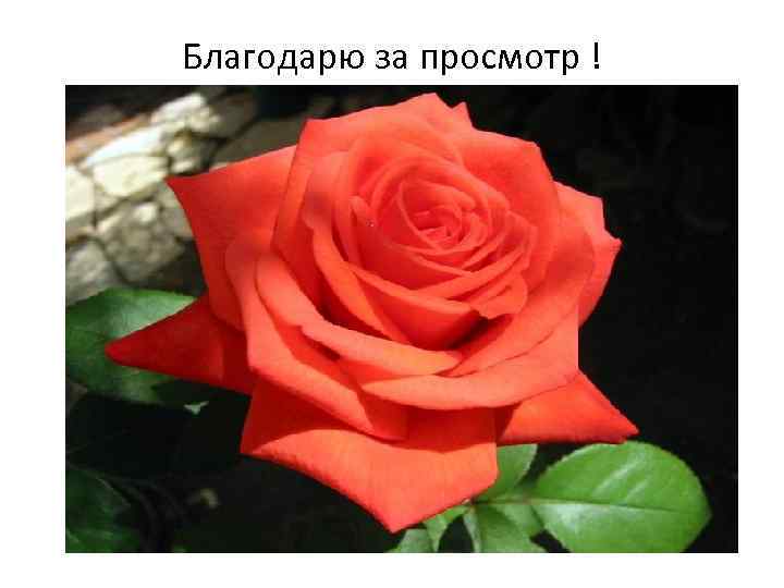 Благодарю за просмотр ! 