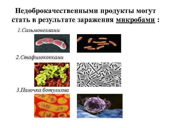 Кто может явиться заражением пищи стафилококками