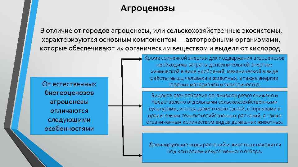 Агроценоз характеризуется признаками. Агроценозы характеризуются. Признаки агроценоза. Признаки характерные для агроценоза.