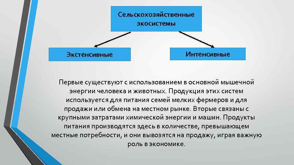 Сельскохозяйственные экосистемы Экстенсивные Интенсивные Первые существуют с использованием в основной мышечной энергии человека и