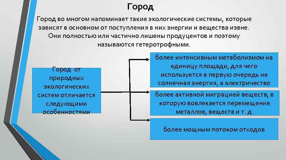 Зависящие в основном от. Антропогенные экологические системы. Общая характеристика антропогенных экосистем. Необходимость поступления веществ извне в естественной экосистеме.