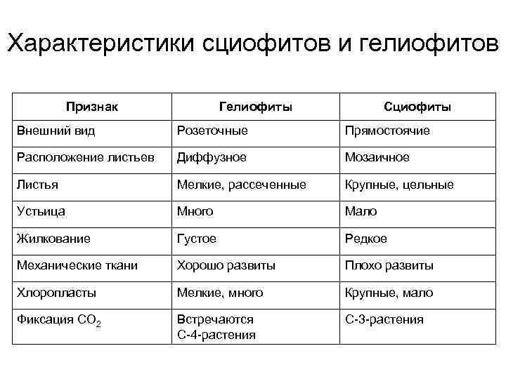 Внешний вид характеристика. Гелиофиты и сциофиты различия таблица. Гелиофиты особенности строения. Сравнительная характеристика гелиофитов и сциофитов. Признаки гелиофитов и сциофитов.