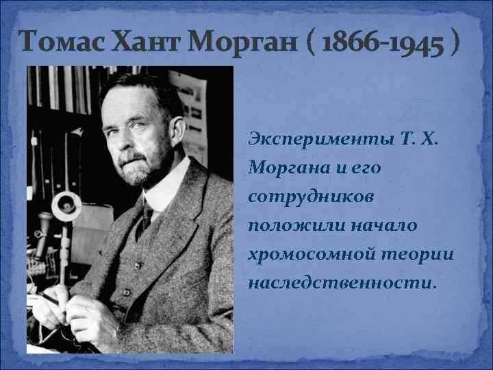 Томас Хант Морган ( 1866 -1945 ) Эксперименты Т. Х. Моргана и его сотрудников