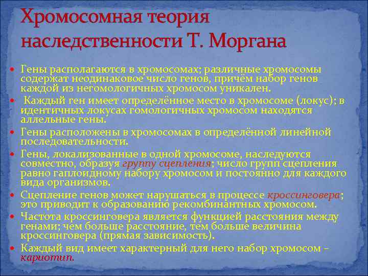Хромосомная теория наследственности Т. Моргана Гены располагаются в хромосомах; различные хромосомы содержат неодинаковое число