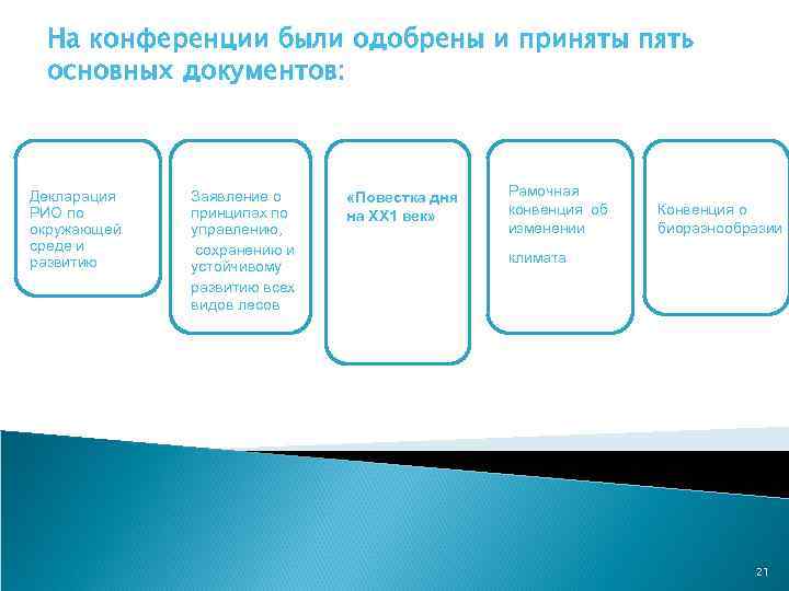 На конференции были одобрены и приняты пять основных документов: Декларация РИО по окружающей среде