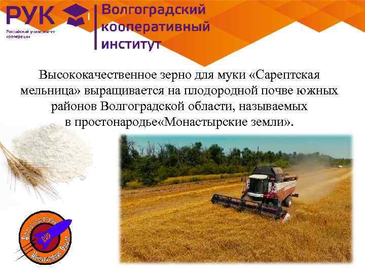 Высококачественное зерно для муки «Сарептская мельница» выращивается на плодородной почве южных районов Волгоградской области,