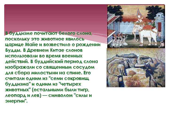 В буддизме почитают белого слона, поскольку это животное явилось царице Майе и возвестило о