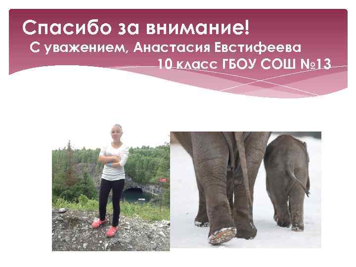 Спасибо за внимание! С уважением, Анастасия Евстифеева 10 класс ГБОУ СОШ № 13 