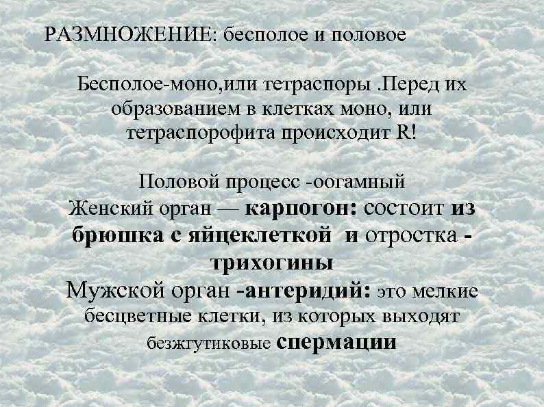 РАЗМНОЖЕНИЕ: бесполое и половое Бесполое-моно, или тетраспоры. Перед их образованием в клетках моно, или