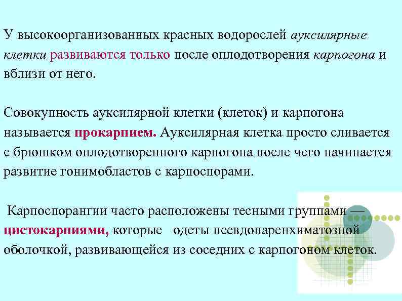 У высокоорганизованных красных водорослей ауксилярные клетки развиваются только после оплодотворения карпогона и вблизи от