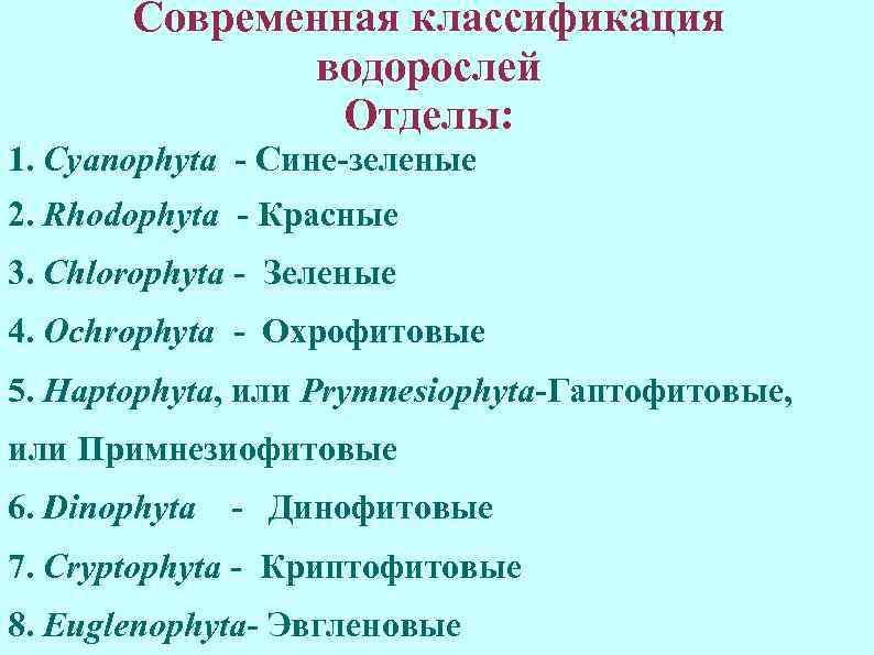 Современная классификация водорослей Отделы: 1. Cyanophyta - Сине-зеленые 2. Rhodophyta - Красные 3. Chlorophyta