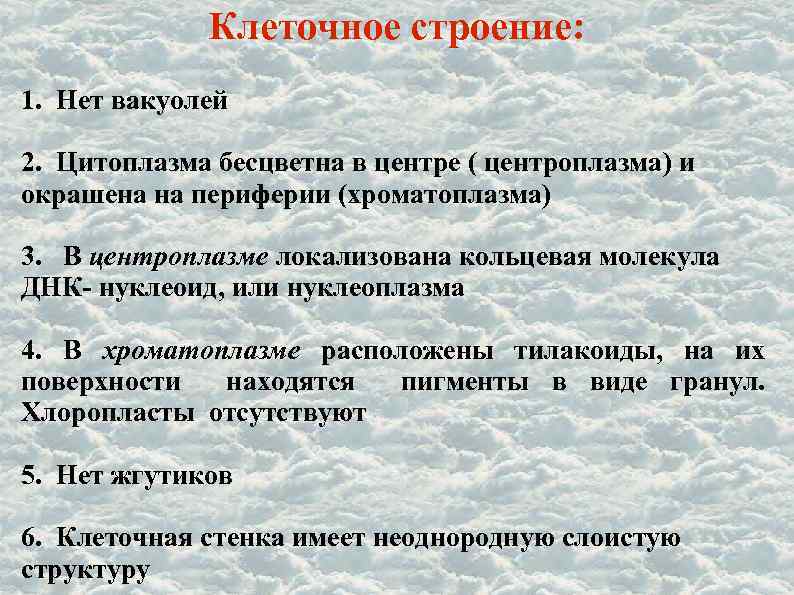 Клеточное строение: 1. Нет вакуолей 2. Цитоплазма бесцветна в центре ( центроплазма) и окрашена