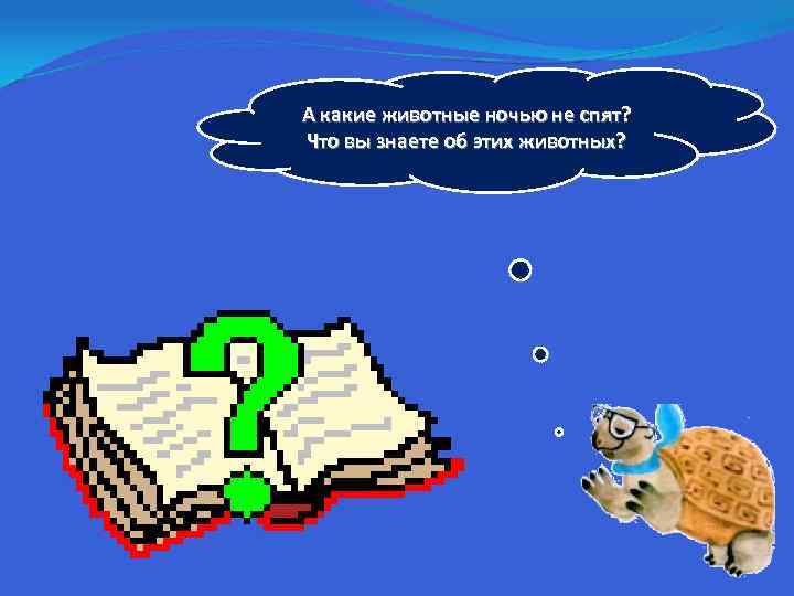 А какие животные ночью не спят? Что вы знаете об этих животных? 