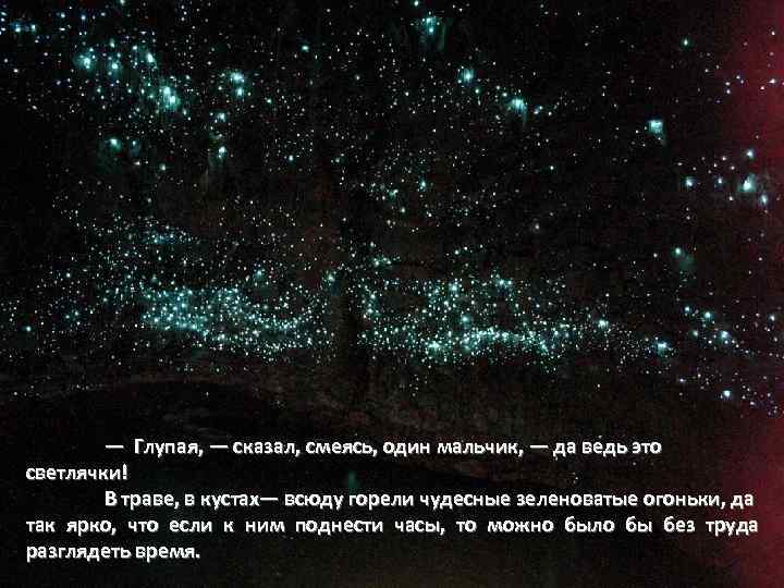 — Глупая, — сказал, смеясь, один мальчик, — да ведь это светлячки! В траве,